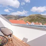 Appartement Dach.loft Spitz In Der Wachau *
